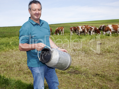 farmer with milk churns at his cows