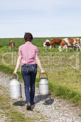 Farmer with milk churns at their cows