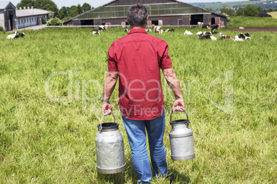 farmer with milk churns at his cows