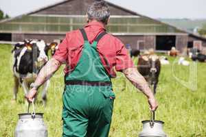 farmer with milk churns at his cows