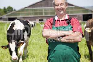 farmer with milk churns at his cows