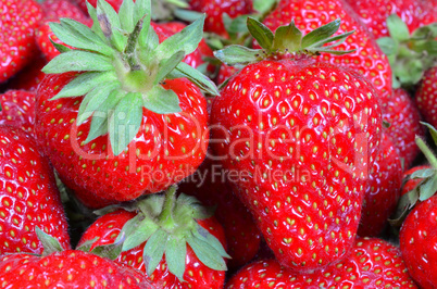 Strawberries