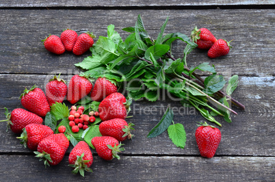 Cultivated and wild strawberries