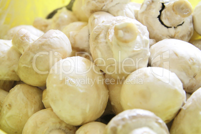 Champignon mushrooms in marinade ready for cooking