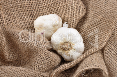 Knoblauch auf Jute