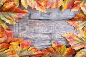 Maple Leaf Frame on Wood