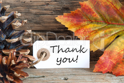 Fall Background with Thank You