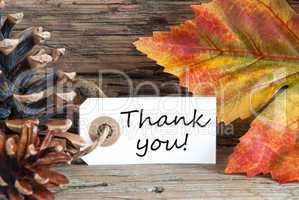 Fall Background with Thank You