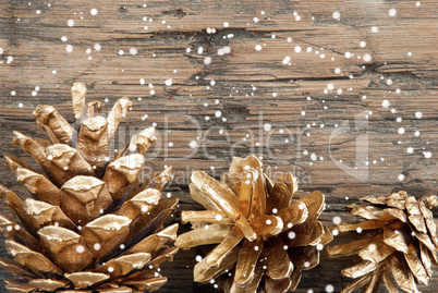 Golden Fir Cones with Snow