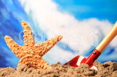 Starfish on sand