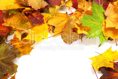 Autumn maple-leafs