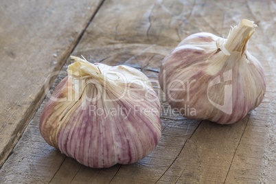 garlic cloves