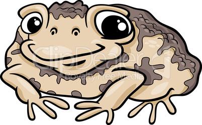 toad amphibian cartoon illustration