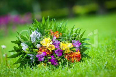 Wedding bouquet with colorful spring freesia flowers