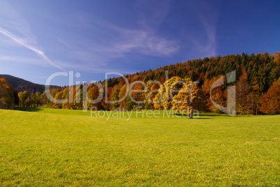 Indian Summer, Herbst, gold, gelb, orange, Blätter, Jahreszeit, Idylle, idyllisch, Alpenwiese, grün, saftig, blau, himmel, oberbayern, postkartenmotiv, alpen, tal, wiesen, weide, felder, almwiese, berge, bayern, alpental, natur, überblick, panorama, hochg