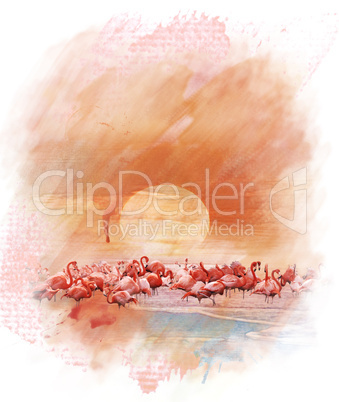 Watercolor Image Of  Flamingos