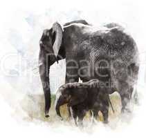 Watercolor Image Of  Elephants