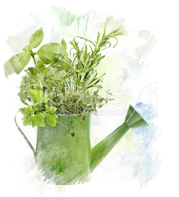 Watercolor Image Of  Herbs