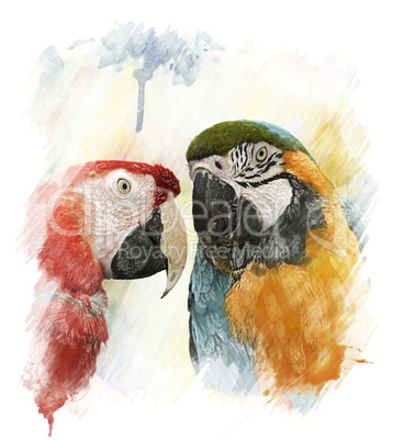 Watercolor Image Of  Parrots