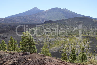 Pico del Teide und Pico Viejo, Teneriffa