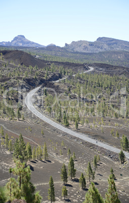 Straße im Teide-Nationalpark, Teneriffa