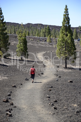 Wanderweg auf Teneriffa