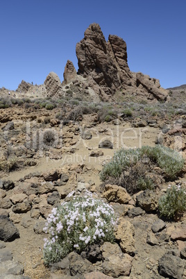 Roques de Garcia, Teneriffa