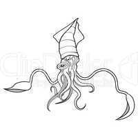 giant squid illustration