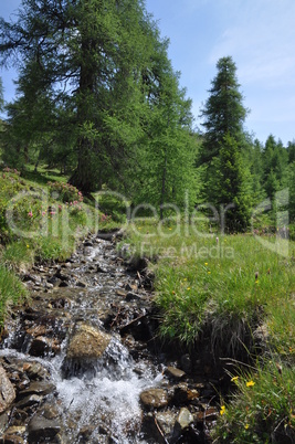 Bergbach bei Nauders, Tirol