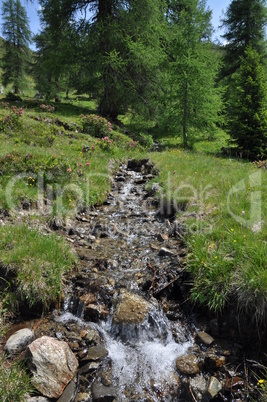 Bergbach bei Nauders, Tirol