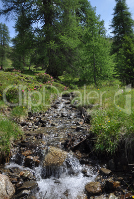 Bergbach bei Nauders, Tirol