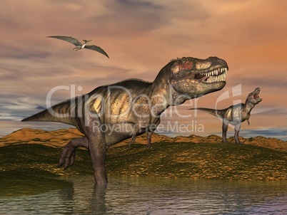 Tyrannosaurus rex dinosaurs - 3D render