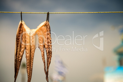 Octopus hanging on line to dry at Mastichari, Kos, Greece, Europ