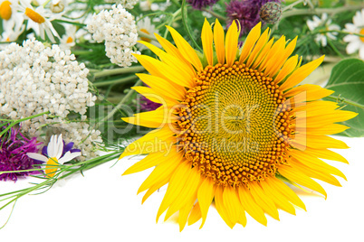 Flower of sunflower and other wildflowers