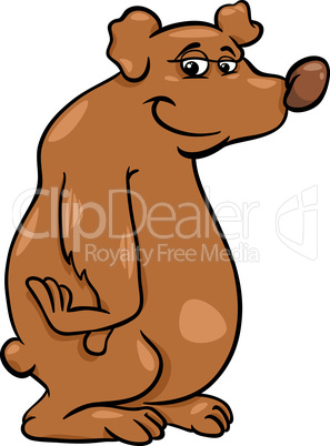 bear wild animal cartoon illustration