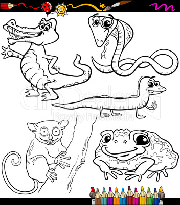 animals set cartoon coloring book