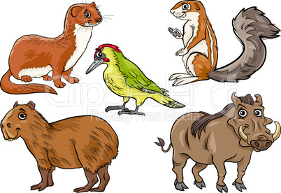 wild animals set cartoon illustration