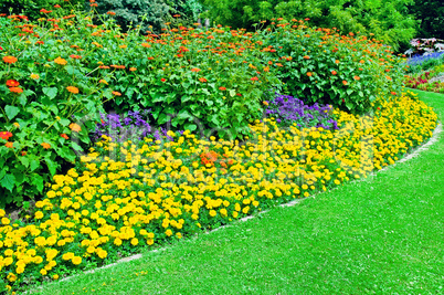 Beautiful flowerbed in summer park