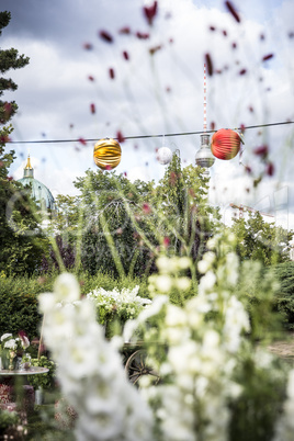 Blumen Gartenparty Alexanderplatz Berlin