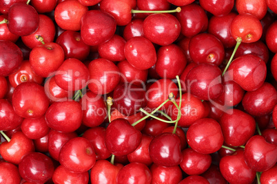 Rote reife Kirschen bilden einen Hintergrund