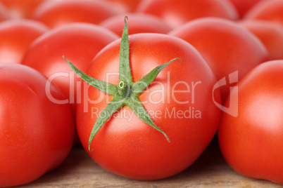 Frische Gemüse Tomaten