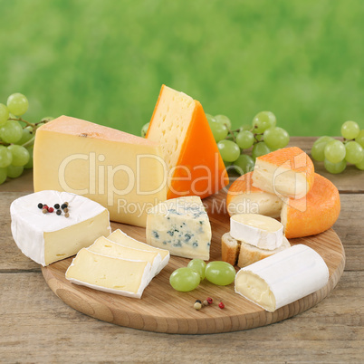 Käse wie Camembert, Bergkäse und Gouda auf Käseplatte