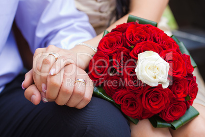 Bride and groom holding hands