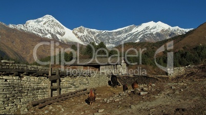 Dhaulagiri and Tukuche Peak