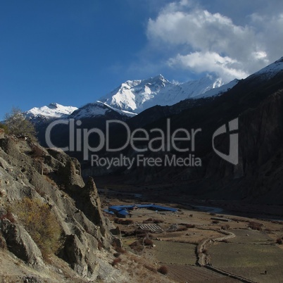 Evening scene in Manang