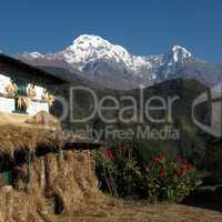 Drying corn on a facade and Annapurna South