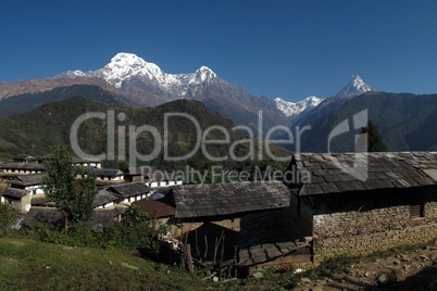 Morning in Ghandruk