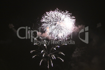 Colorful firework in the black night sky