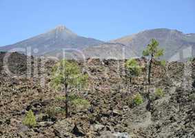 Pico del Teide und Pico Viejo, Teneriffa