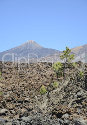 Pico del Teide und Pico Viejo, Teneriffa